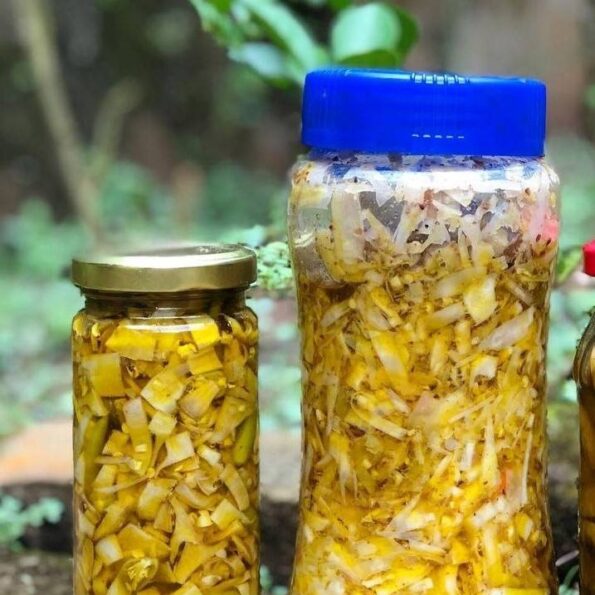 bamboo shoot pickle